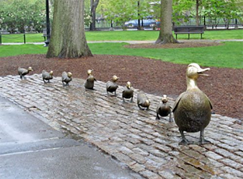 boston_public_gardens_500px-4382407