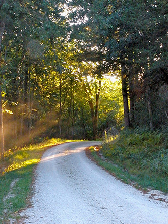 Orval Amdahl's driveway